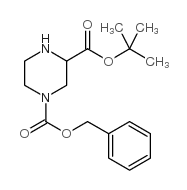 1-苄基 3-叔丁基哌嗪-1,3-二羧酸结构式