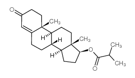 Testosterone 17-Isobutyrate Structure