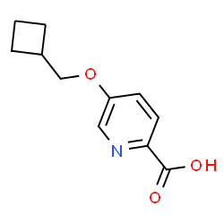 5-(Cyclobutylmethoxy)pyridine-2-carboxylic acid Structure