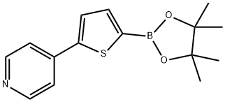 5-(4-Pyridyl)thiophene-2-boronic acid pinacol ester Structure