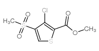 3-氯-4-(甲基磺酰基)噻吩-2-羧酸甲酯结构式