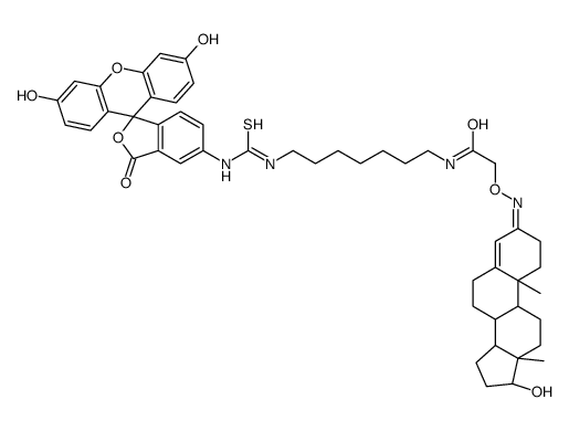 testosterone-DAH-fluorescein picture