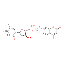 4-methylumbelliferyl thymidine 5'-phosphate Structure