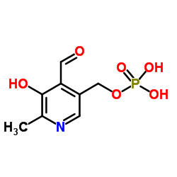 Pyridoxal 5'-phosphate Structure