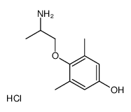 4-Hydroxy Mexiletine Structure
