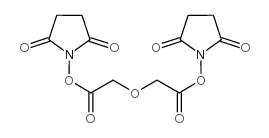 双-N-琥珀酸亚胺基二乙醇酸图片