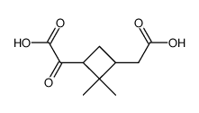 2-(3-(carboxymethyl)-2,2-dimethylcyclobutyl)-2-oxoacetic acid结构式