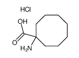1-aminocyclooctanecarboxylic acid hydrochloride Structure