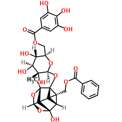 6'-O-没食子酰芍药苷结构式