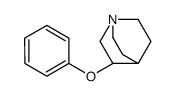 3-phenoxy-1-azabicyclo[2.2.2]octane结构式