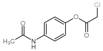 氯乙酸-4-乙酰氨基苯酯结构式