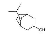 8-Isopropyl-8-azabicyclo[3.2.1]octan-3-ol Structure