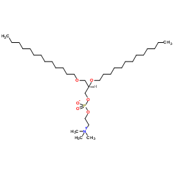1,2-二-O-十三烷基-sn-甘油-3-磷酸胆碱图片