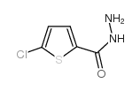 5-CHLORO-2-THIOPHENECARBOXYLIC ACID HYDRAZIDE Structure