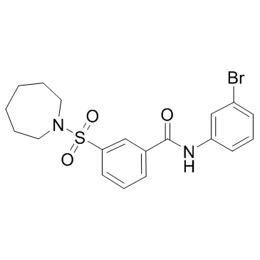N-(3-溴苯基)-3-[(六氢-1H-氮杂卓-1-基)磺酰基]-苯甲酰胺结构式