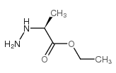 Propanoic acid, 2-hydrazino-, ethyl ester, (S)- (9CI)结构式