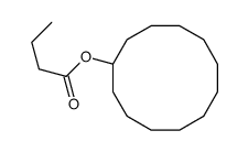 cyclododecyl butanoate Structure