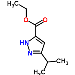 5-异丙基吡唑-3-甲酸乙酯结构式