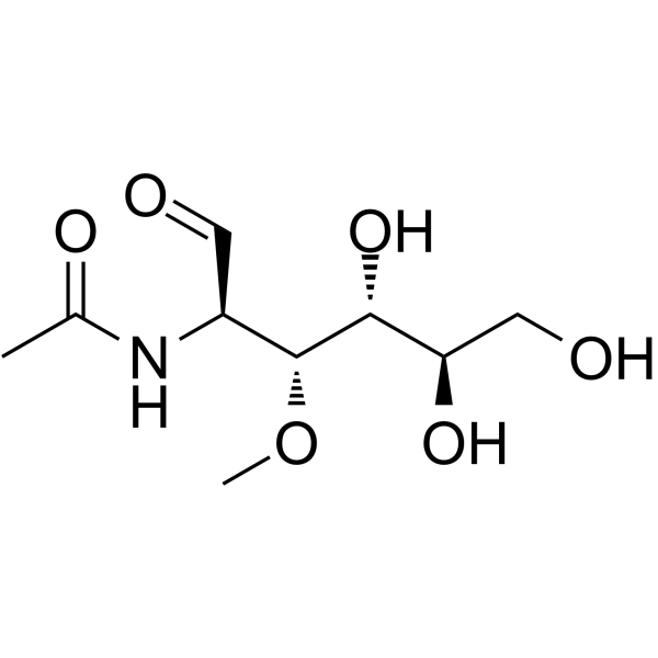 3-O-Methyl-N-acetyl-D-glucosamine structure