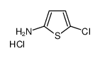 5-Chlorothiophen-2-amine hydrochloride结构式