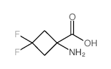 1-氨基-3,3-二氟环丁烷-1-羧酸图片
