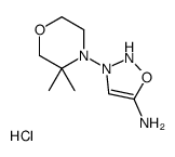 3-(3,3-dimethylmorpholin-4-yl)-2H-oxadiazol-2-ium-5-amine,chloride Structure