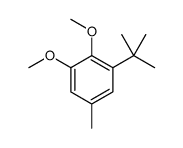 1-tert-butyl-2,3-dimethoxy-5-methylbenzene Structure