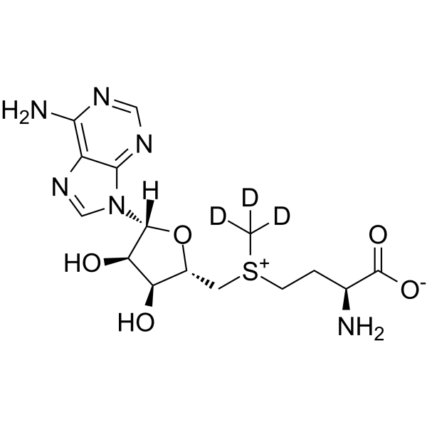 S-Adenosyl-L-methionine D3 structure