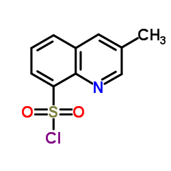 3-Methylquinoline-8-sulfonyl chloride structure