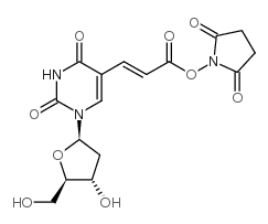 (e)-5-[2-(2-carboxyvinyl)]-2'-deoxyuridine n-hydroxy-succimide ester Structure