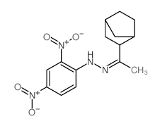 2,4-dinitro-N-(1-norbornan-2-ylethylideneamino)aniline结构式