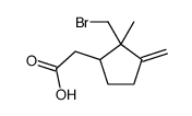 2-[2-(bromomethyl)-2-methyl-3-methylidenecyclopentyl]acetic acid Structure