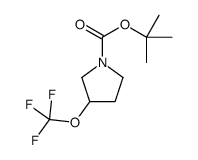 2-Methyl-2-propanyl 3-(trifluoromethoxy)-1-pyrrolidinecarboxylate Structure