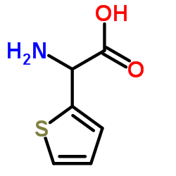 DL-α-氨基噻吩-2-醋酸结构式