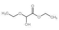 Ethyl ethoxyhydroxyacetate Structure