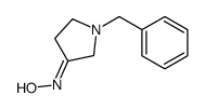 N-(1-benzylpyrrolidin-3-ylidene)hydroxylamine Structure
