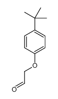[4-(1,1-二甲基乙基)苯氧基]乙醛结构式