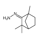 (2,2,4-trimethyl-3-bicyclo[2.2.1]heptanylidene)hydrazine Structure