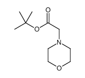 tert-butyl 2-morpholin-4-ylacetate结构式