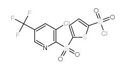 5-[3-氯-5-(三氟甲基)吡啶基-2-磺酰基]噻吩-2-磺酰氯结构式