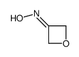N-(oxetan-3-ylidene)hydroxylamine Structure