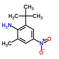 2-tert-Butyl-6-methyl-4-nitroaniline结构式