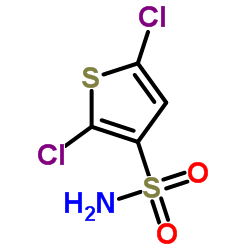 2,5-二氯噻吩-3-磺酰胺图片