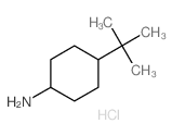 (1s,4s)-4-(叔-丁基)环己胺盐酸结构式