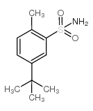 5-叔丁基-2-甲基苯磺酰胺结构式