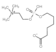 6-(O-磷酸胆碱)羟基己酸结构式