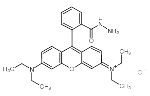 Rhodamine B hydrazide picture