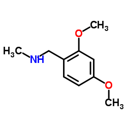 N-(2,4-Dimethoxybenzyl)-N-methylamine Structure