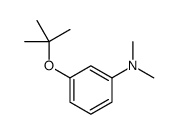 N,N-dimethyl-3-[(2-methylpropan-2-yl)oxy]aniline结构式