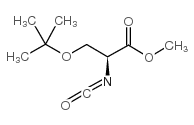 (S)-(+)-2-异氰酰基-3-叔丁基丙酸甲酯图片